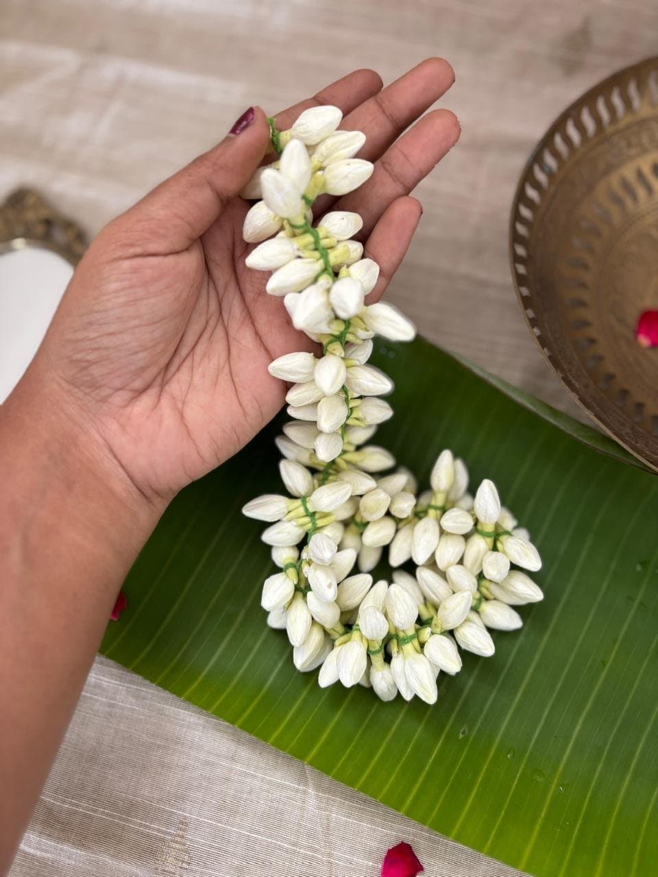 Jasmine Flower detail view 2